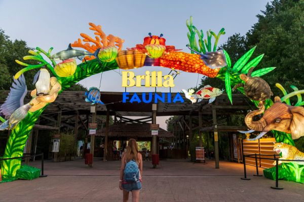 Brilla Faunia 01-08-2024
