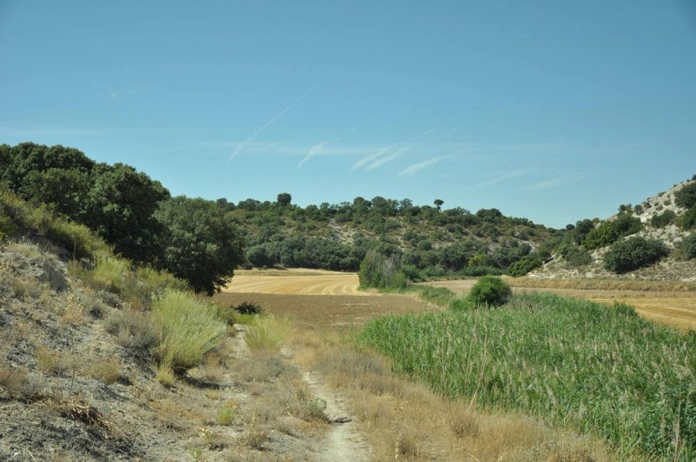 Valle de Lillo 2017