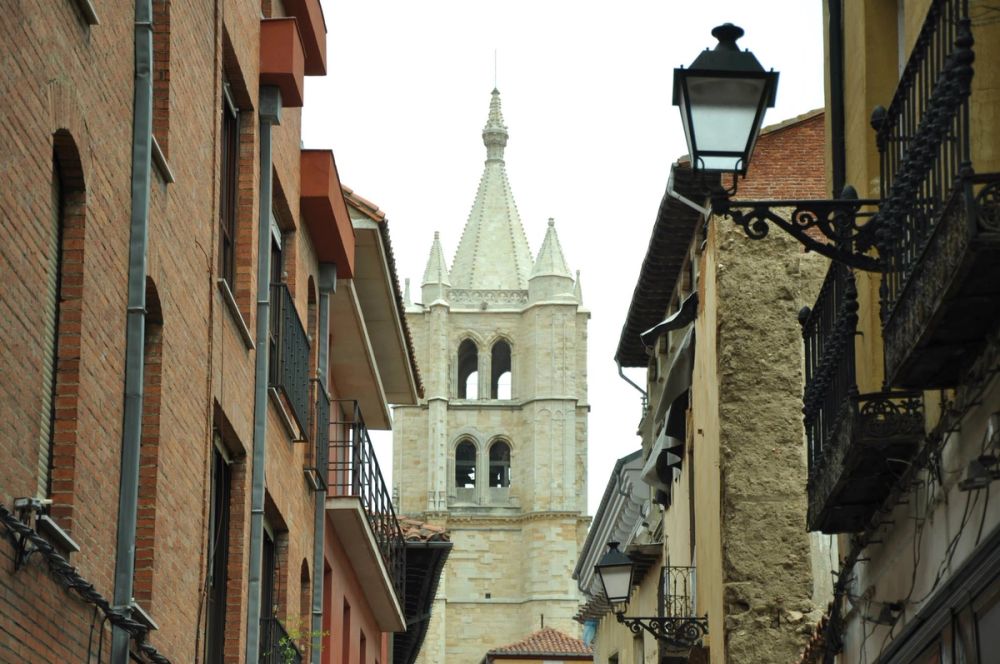 Leon 2014