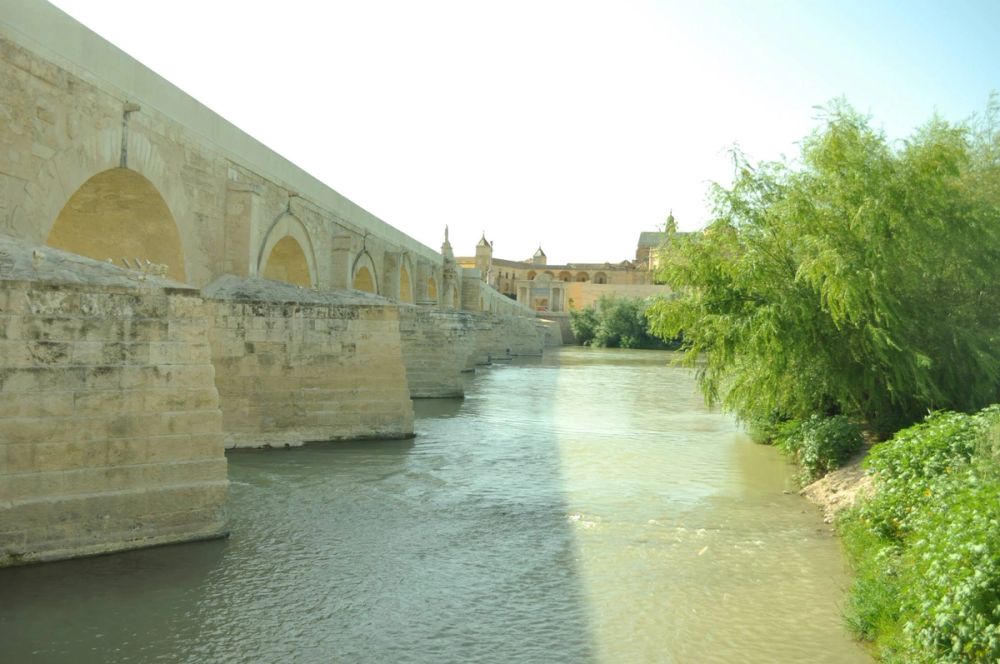 Cordoba 2013