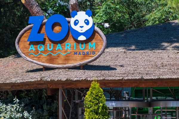 Zoo 17-08-2024