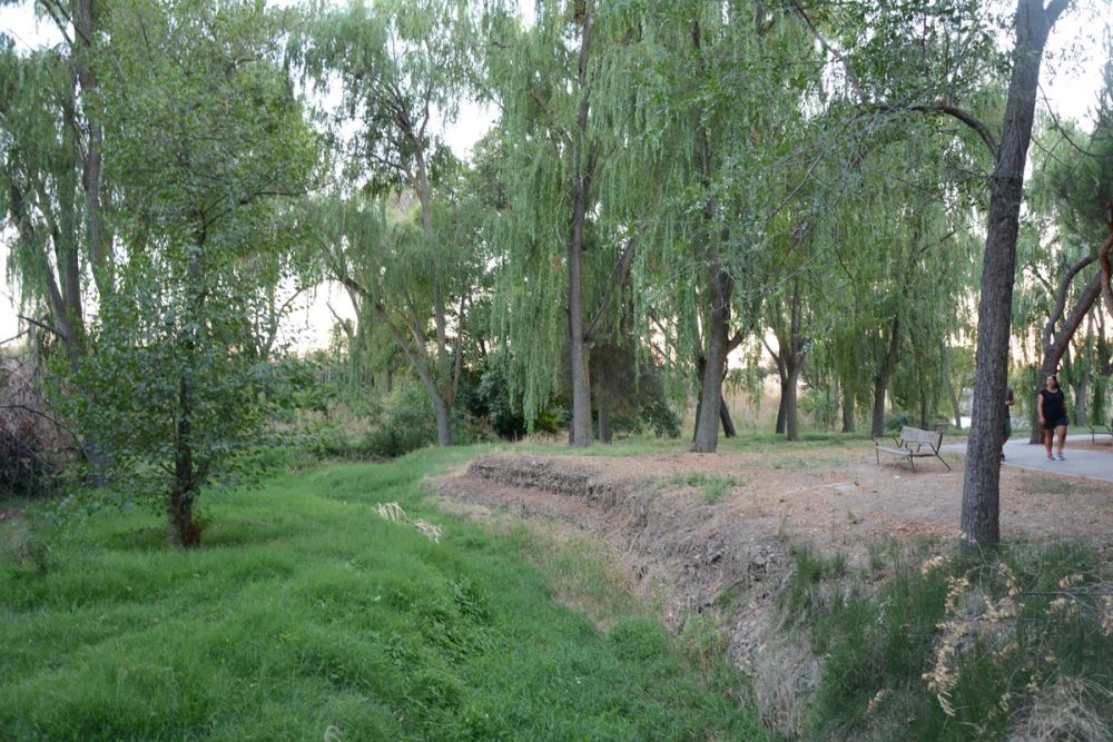 Parque Polvoranca (Leganes) 20-08-2017