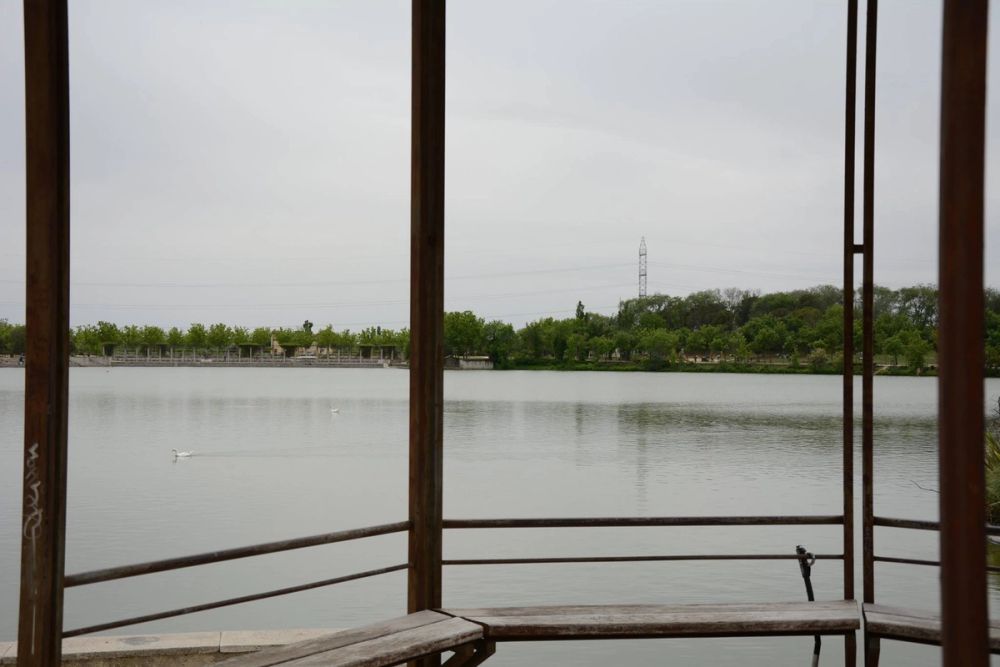 Parque polvoranca (Leganes) 10-06-2019