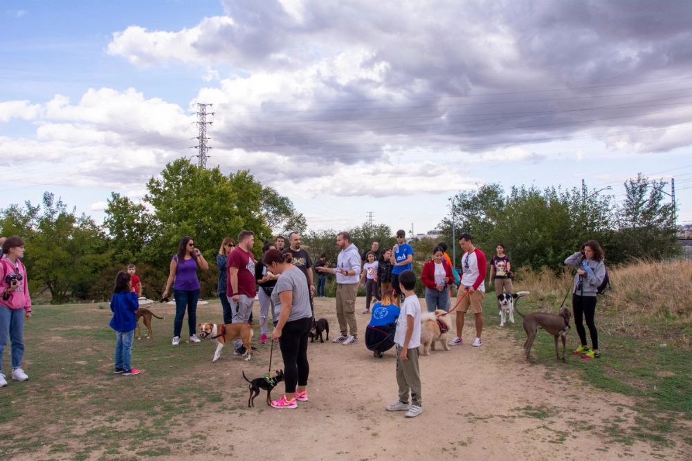 IV Ruta canina en Leganes 22-09-2019