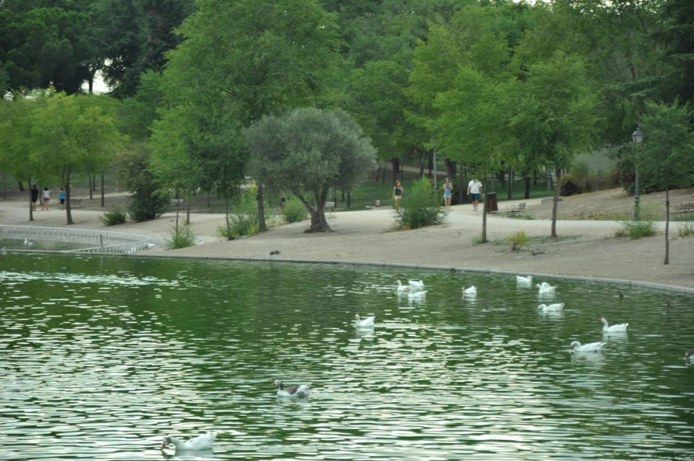 parque Polvoranca (Leganes) 30-08-2014