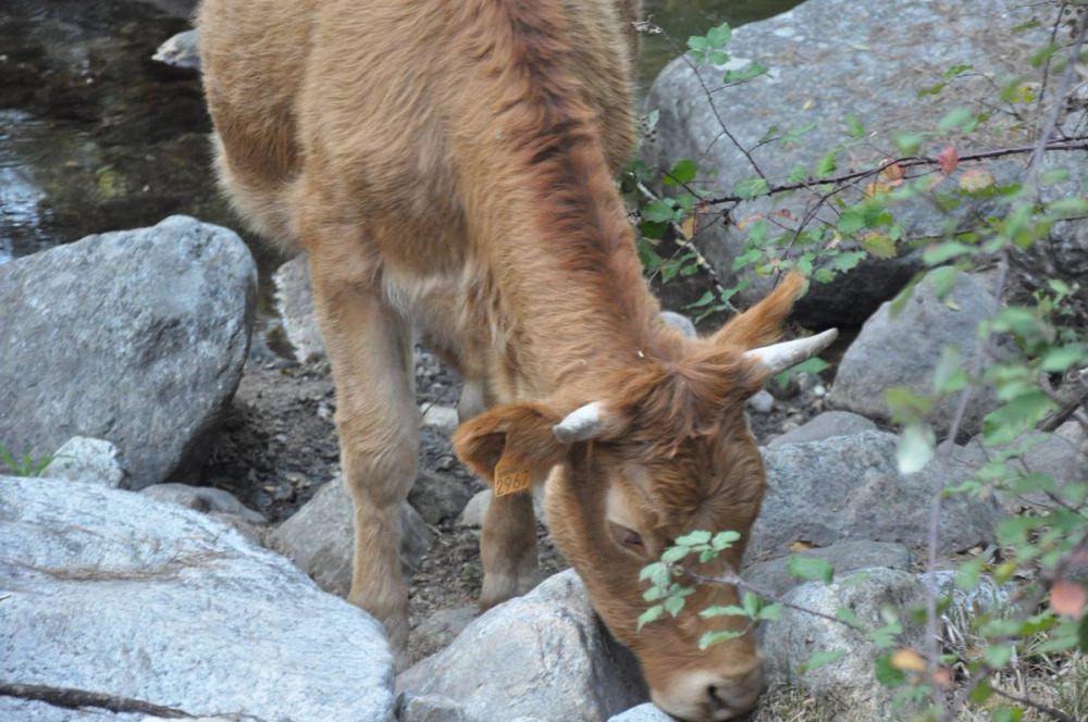 Cascadas del purgatorio 27-09-2015