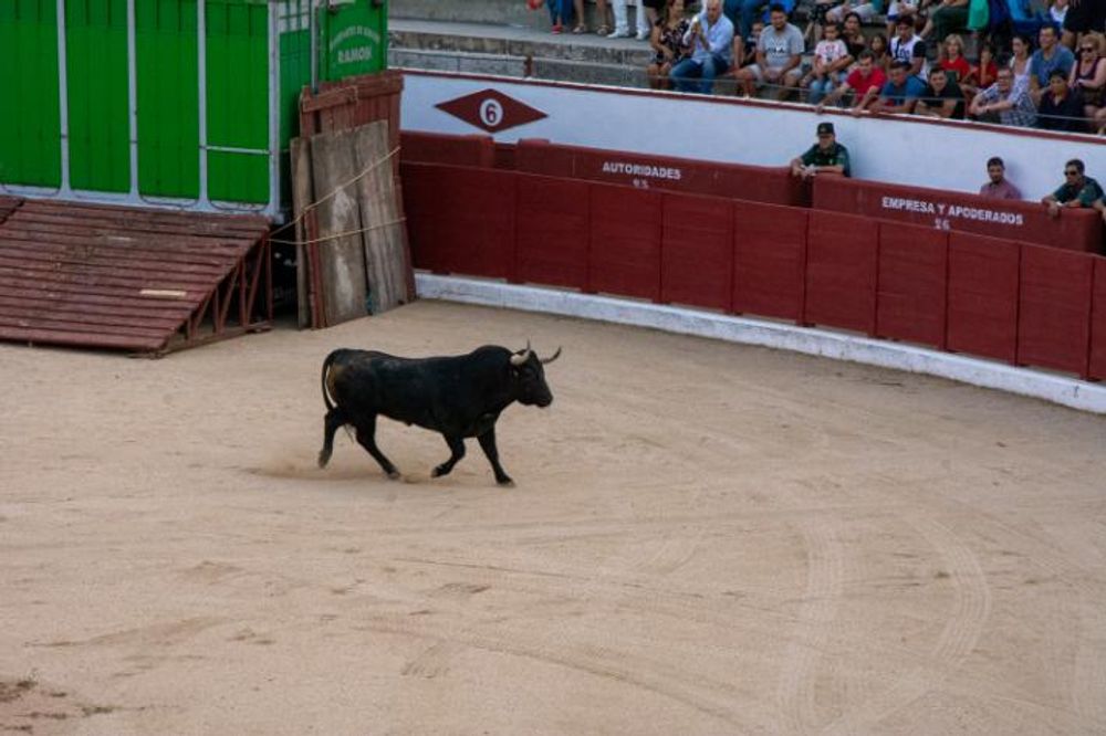Toros en Colmenar Viejo 22-08-2019