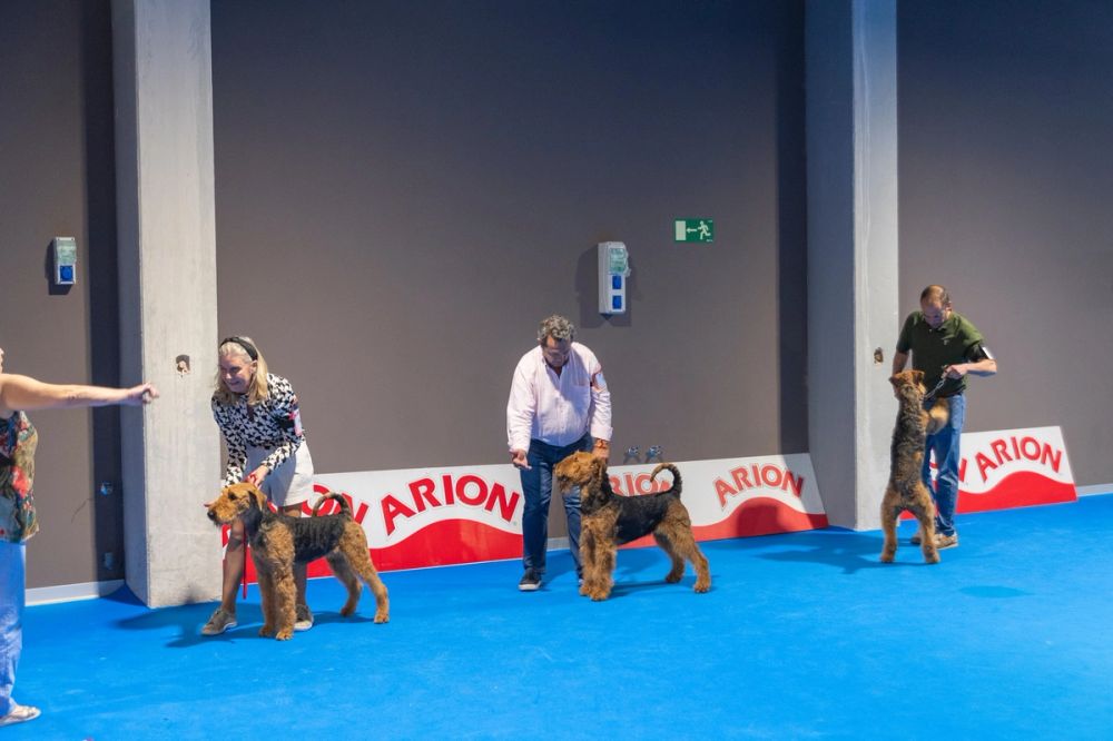 Exposicion canina (ciudad real) 02-06-2024