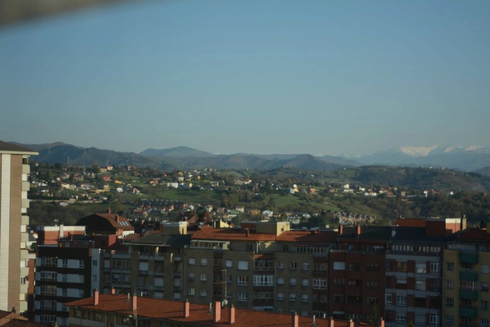 Oviedo 2019