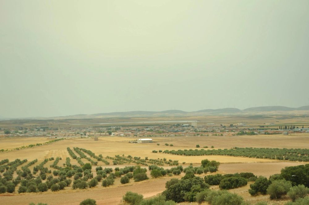 Lillo 2013 