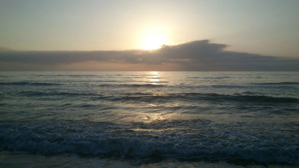 Gandia 2013