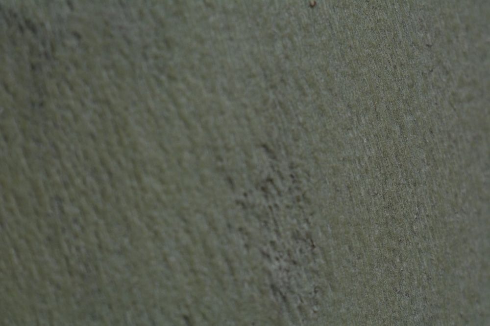 Fotografia Macro 03-04-2021