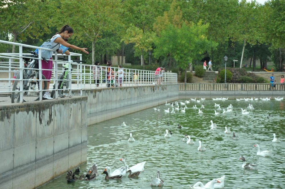 parque Polvoranca (Leganes) 30-08-2014