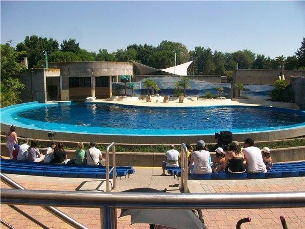zoo 2010