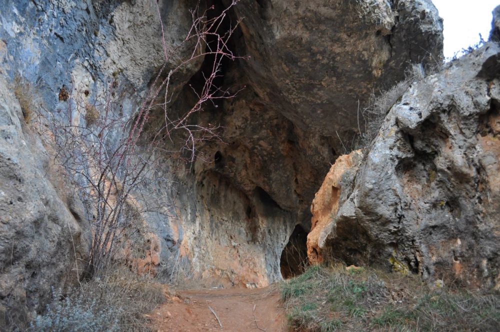 Rio lobos (Burgos/Soria) 2012