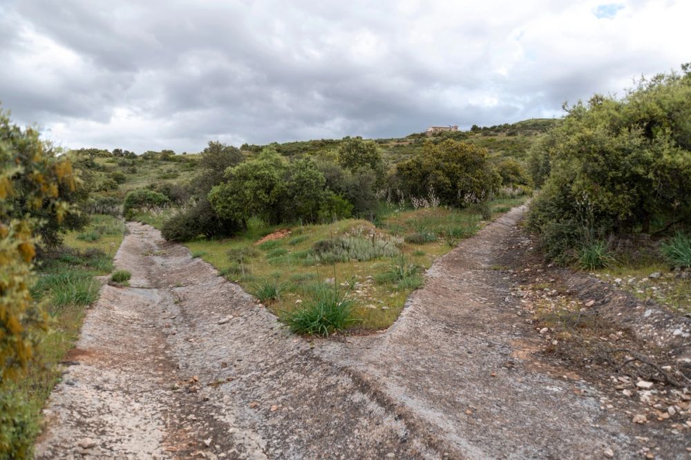 Sierra de Corral de Almaguer 03-05-2025