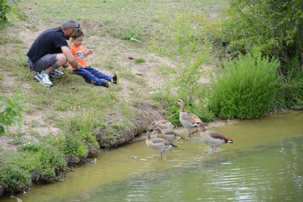 Parque polvoranca (Leganes) 10-06-2019