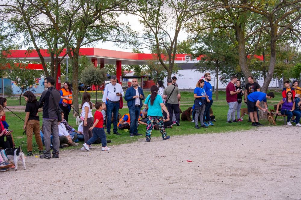 Formacion de perro policia 22-09-2019