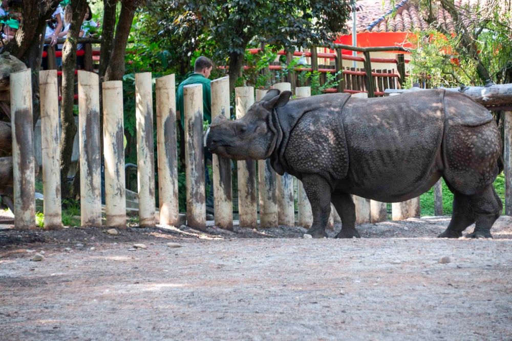 Zoo 29-07-2026
