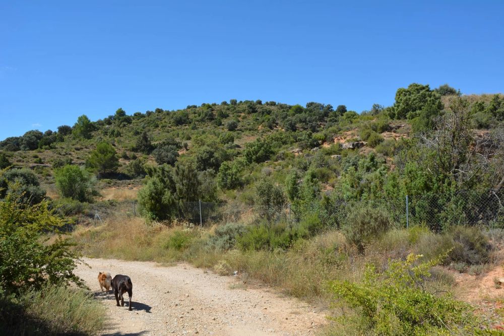 Casa Rural El Moral (Cuenca) 2020