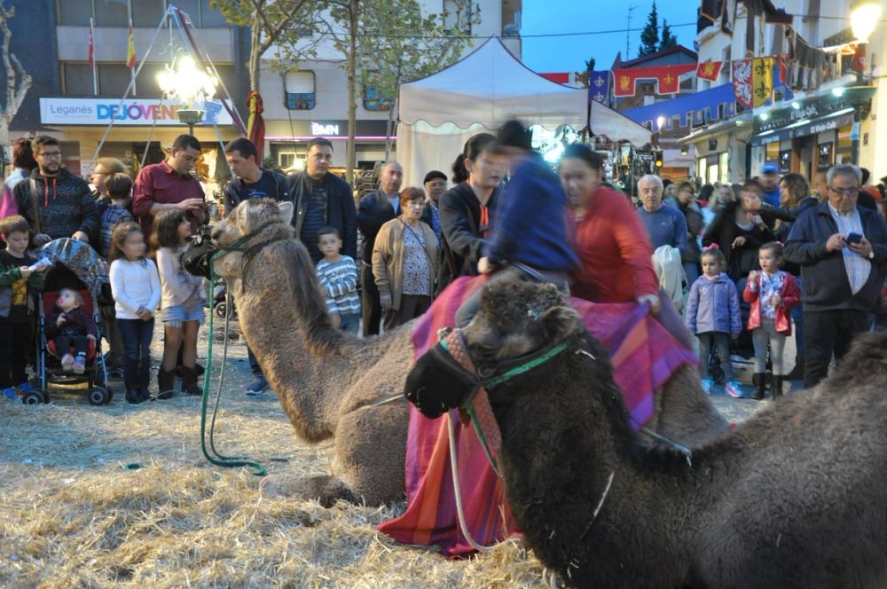 Feria Mediaval (Leganes) 2016