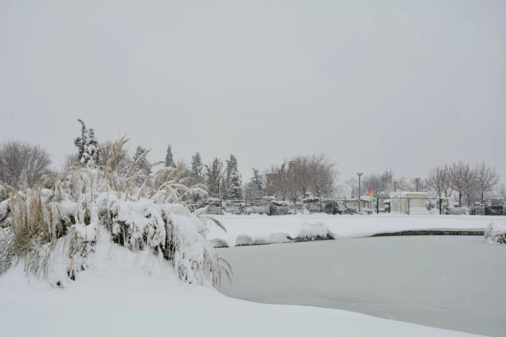 Leganes Nevado 2021 Dia 1