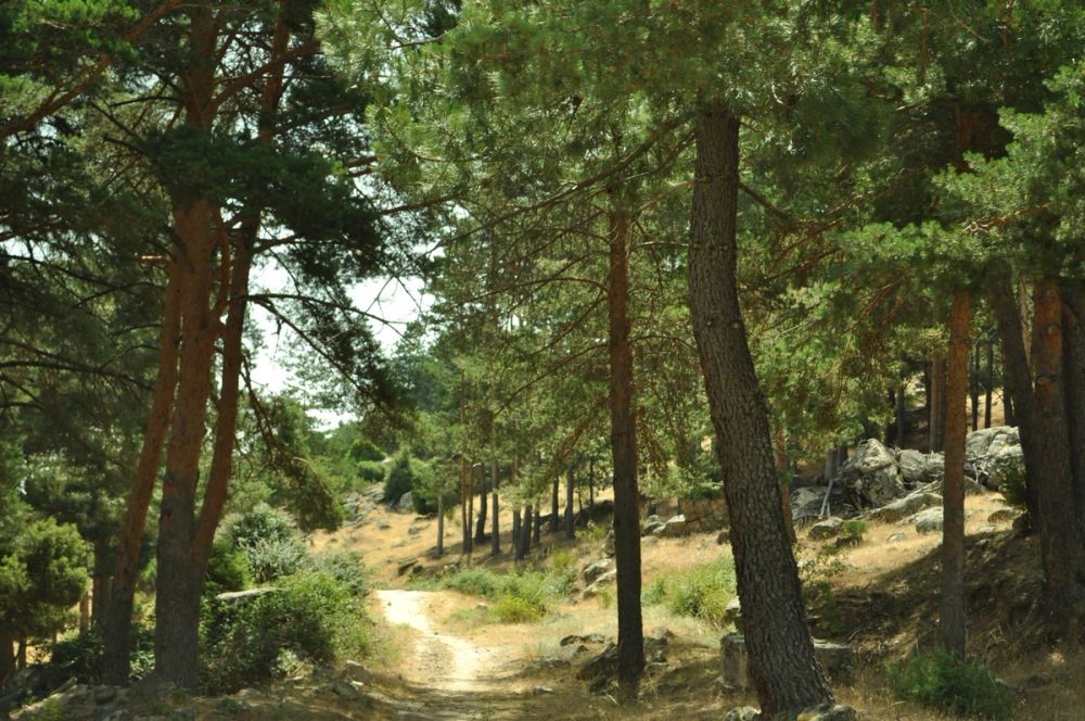 Berrecil de la sierra 10-07-2013