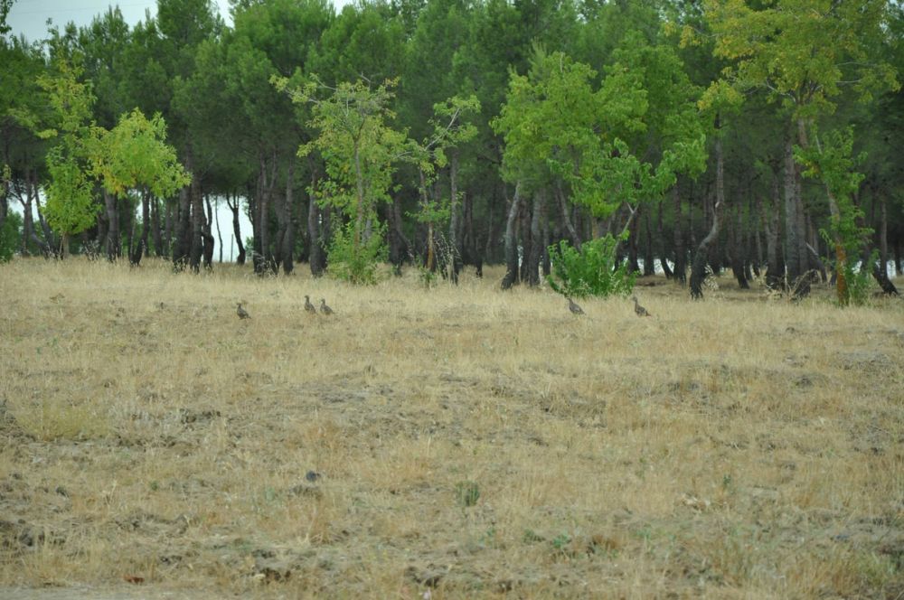 parque Polvoranca (Leganes) 30-08-2014