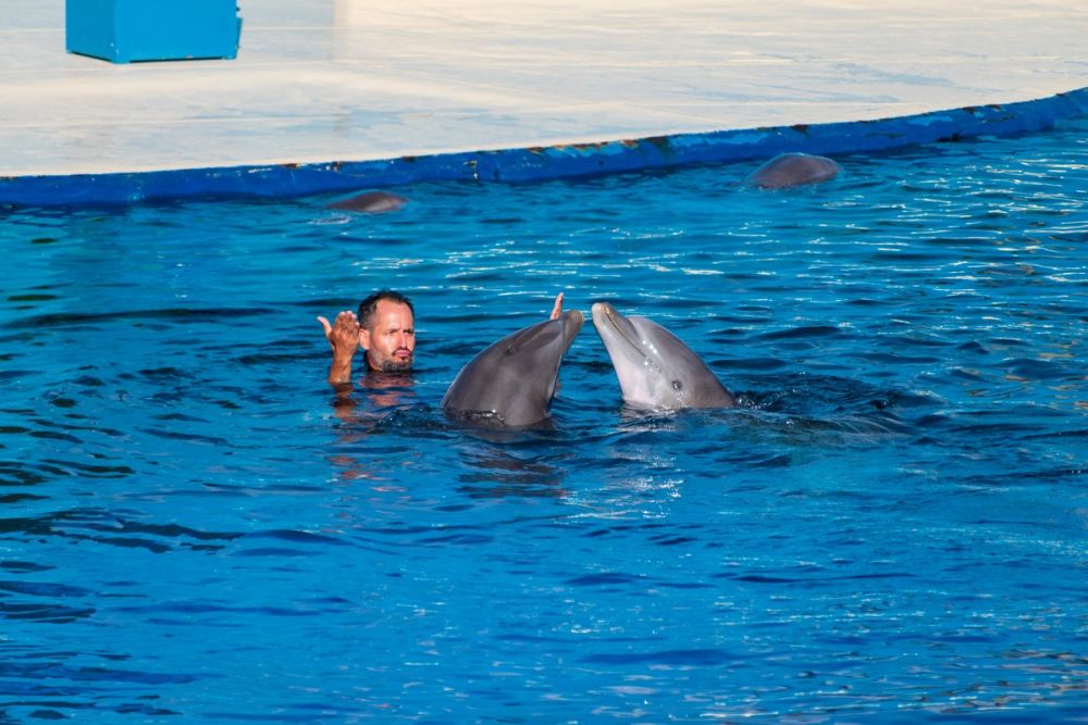Zoo 17-08-2024