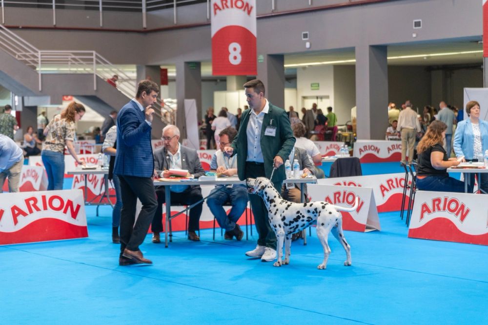 Exposicion canina (ciudad real) 01-06-2024