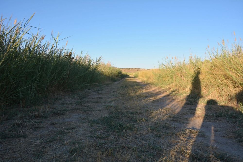 Lagunas de la guardia y Ermita del Santo Niño (La guardia) 2020