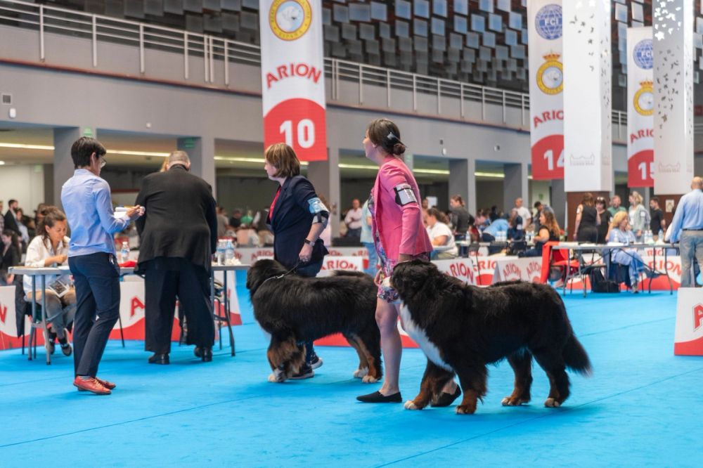Exposicion canina (ciudad real) 01-06-2024