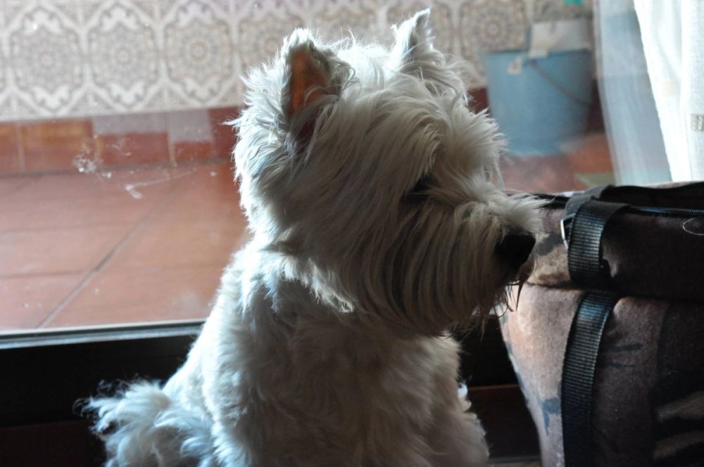 Luckky