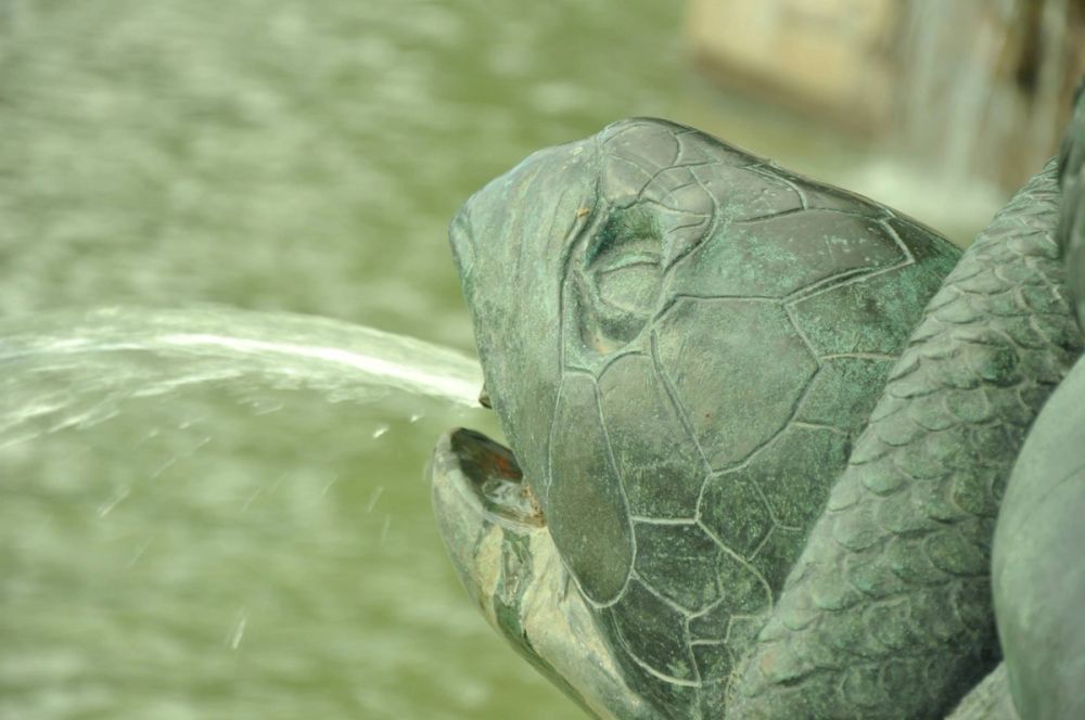 Parque Retiro (Madrid) 26-04-2014