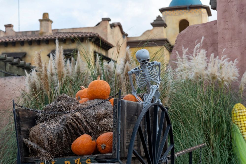 Halloween Parque Warner 2024