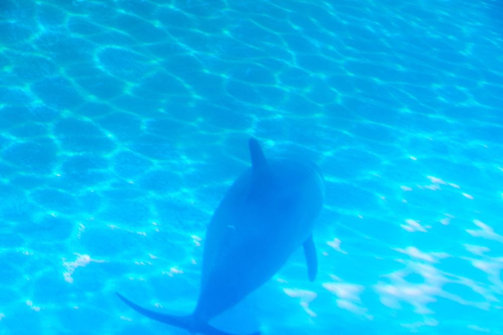 Zoo 17-08-2024