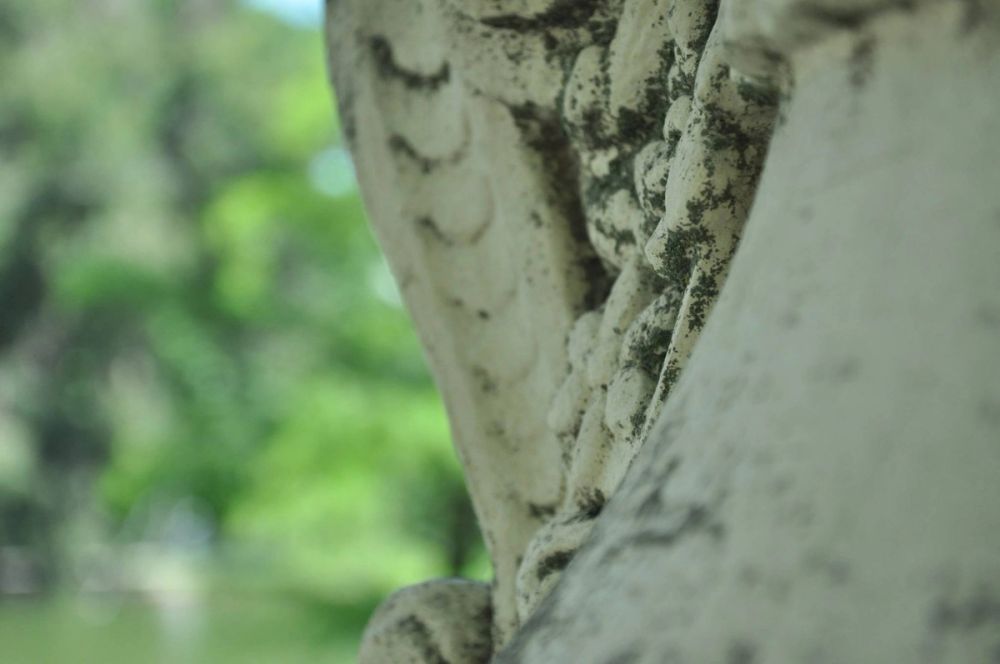 Parque del Retiro (Madrid) 30-05-2015