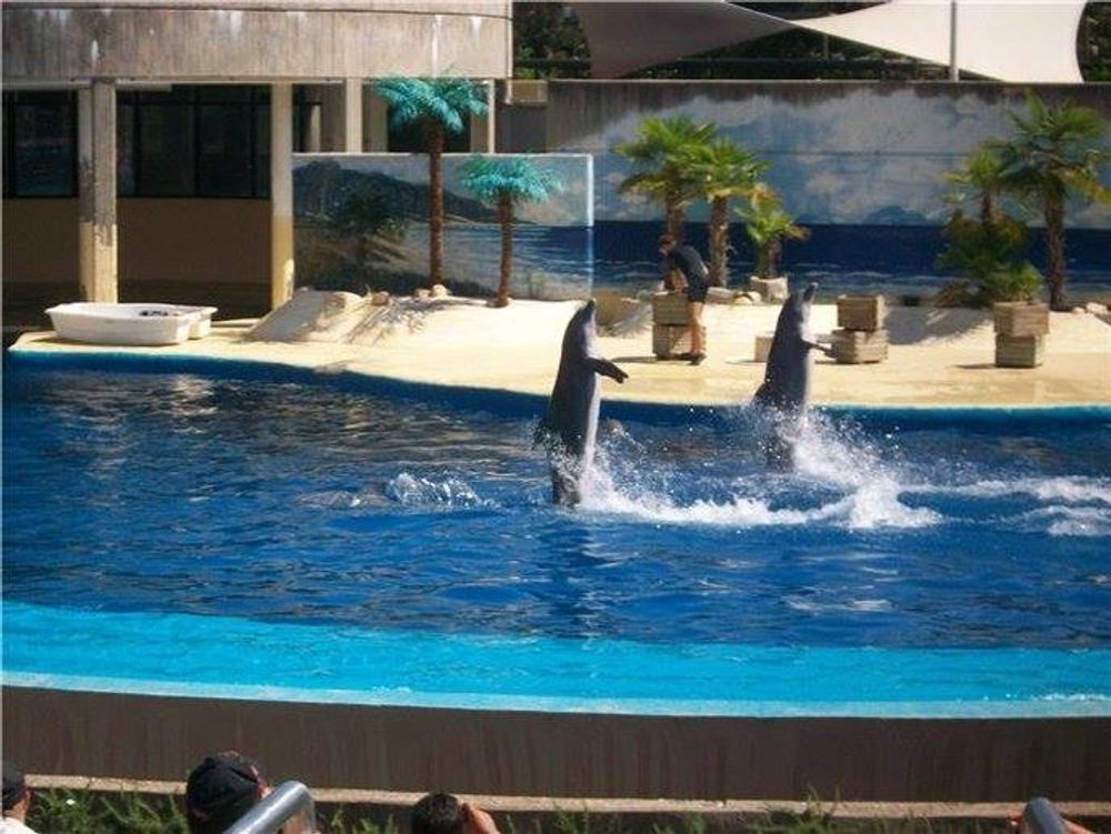 zoo 2010