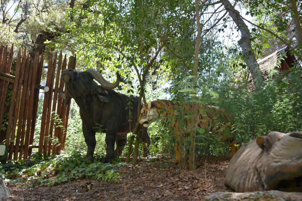 Parque de atracciones de madrid 16-08-2023