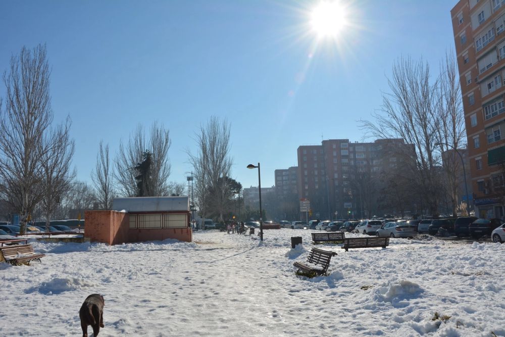 Conan en la nieve (leganes) 2021