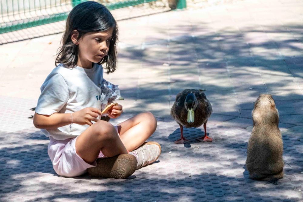 Faunia 04-08-2026