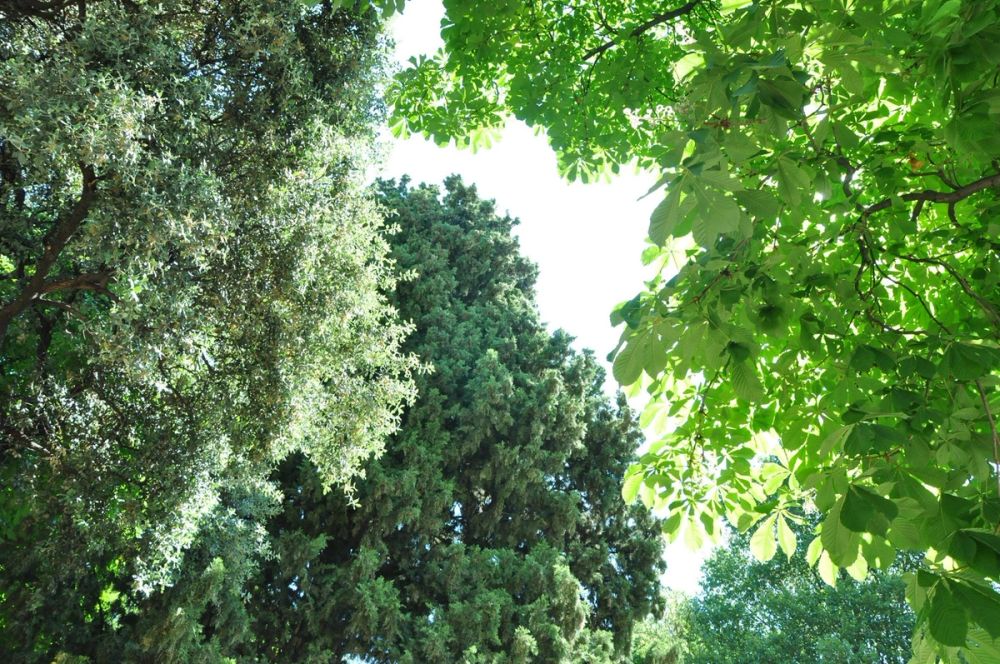 Parque del Retiro (Madrid) 30-05-2015