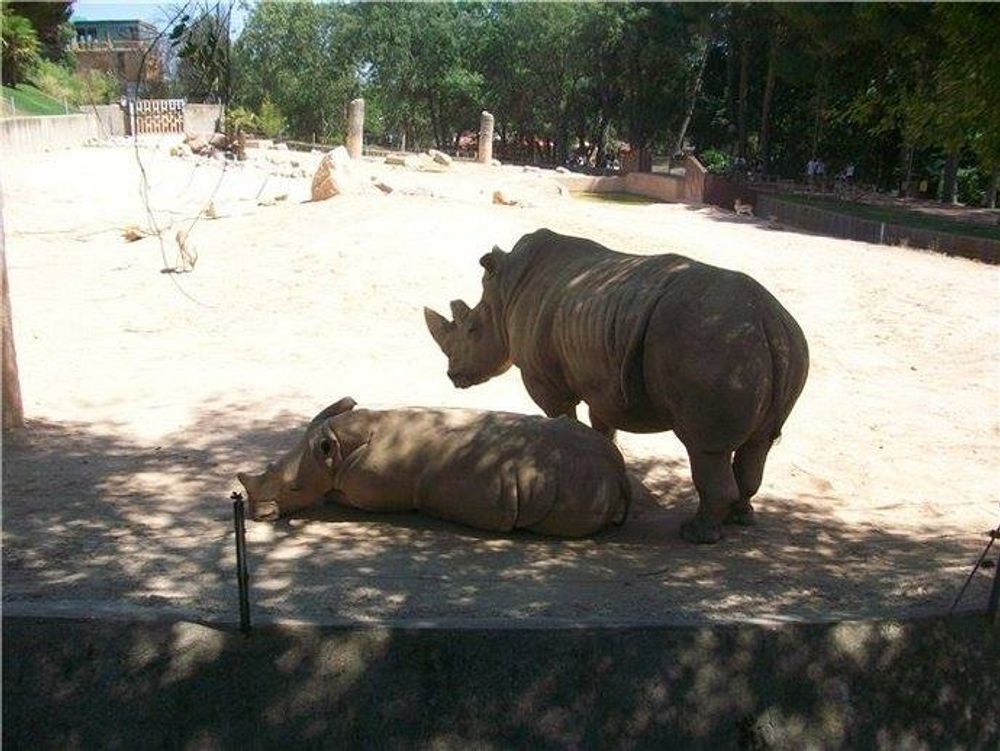 zoo 2010
