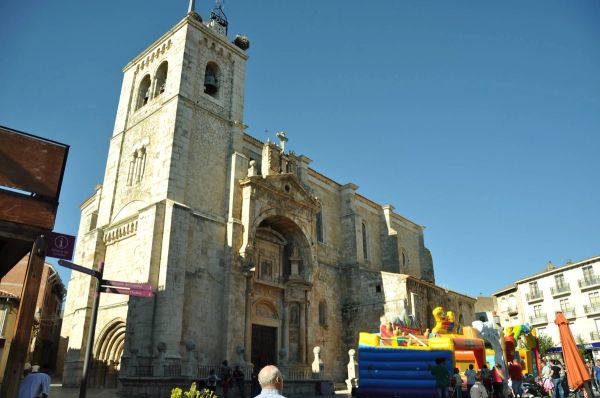 Roa del duero 2014