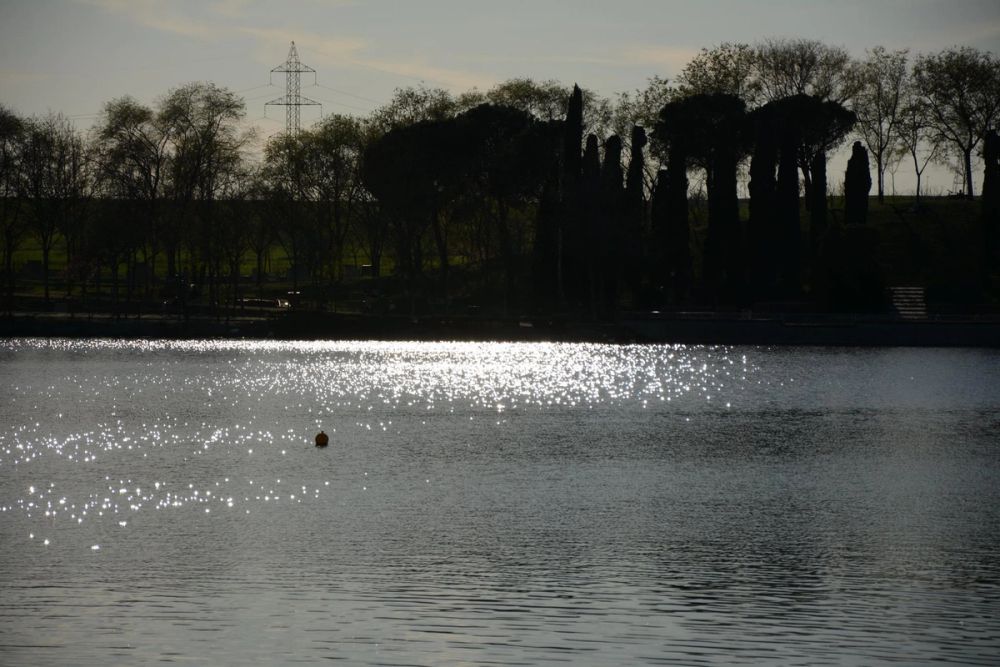 Parque Polvoranca (Leganes) 18-03-2017