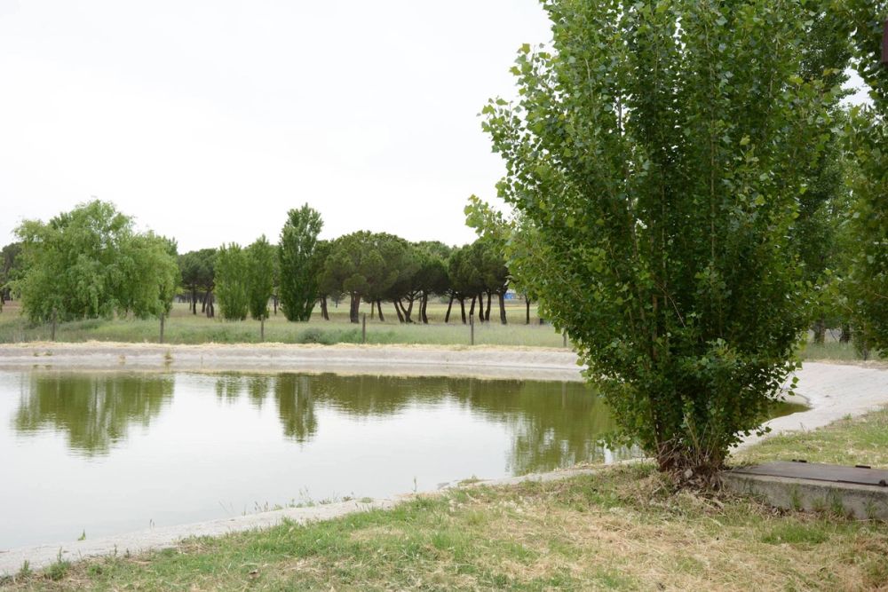 Parque polvoranca (Leganes) 10-06-2019