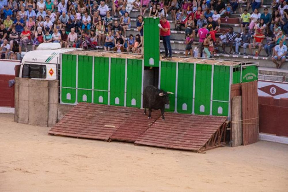 Toros en Colmenar Viejo 22-08-2019