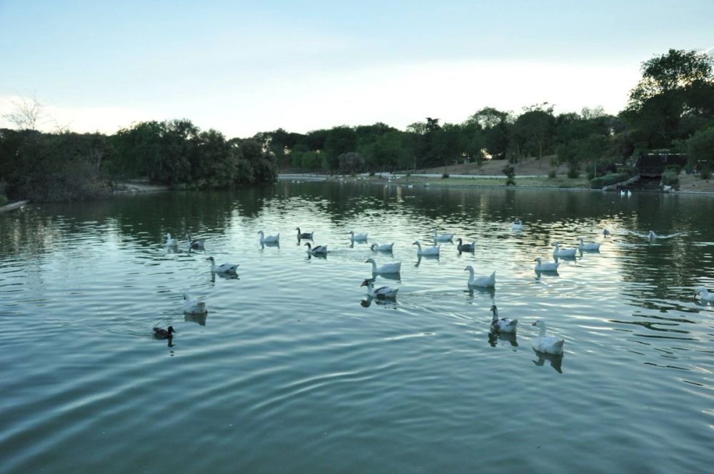 parque polvoranca (Leganes) 28-05-2015