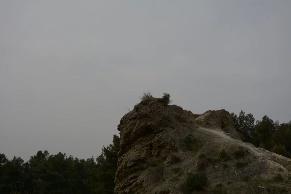Corto The mandaloriano 27-03-2021