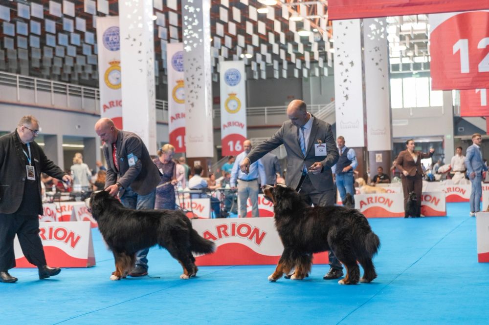 Exposicion canina (ciudad real) 01-06-2024